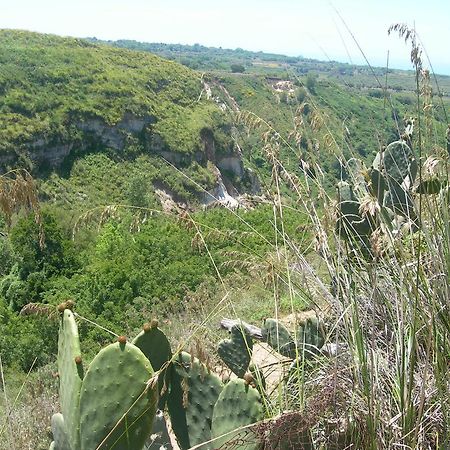 Azienda Agrituristica Carida Zaccanopoli ภายนอก รูปภาพ