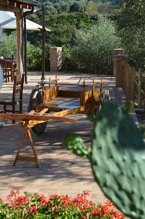 Azienda Agrituristica Carida Zaccanopoli ภายนอก รูปภาพ