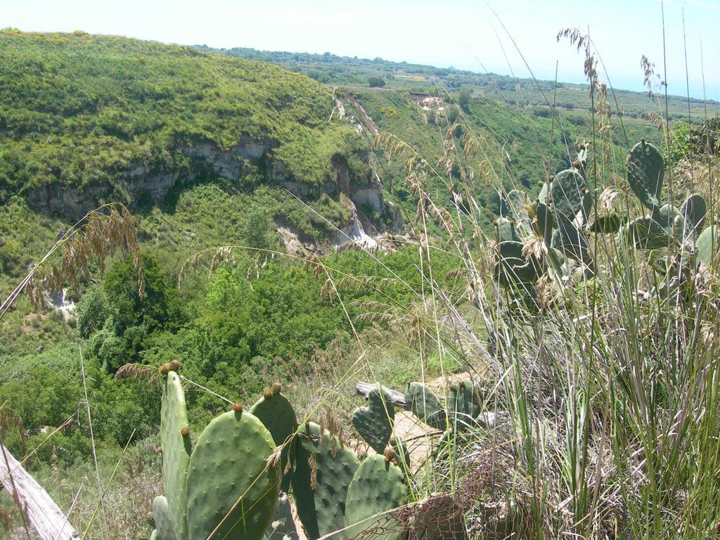 Azienda Agrituristica Carida Zaccanopoli ภายนอก รูปภาพ
